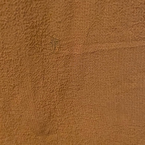 RARE Vintage Wilfred 100% silk sheer dress/shirt. Size x-small. - Picture 6 of 9